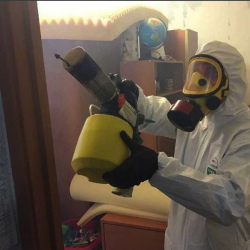 Уничтожение клопов в квартире. Прокшино